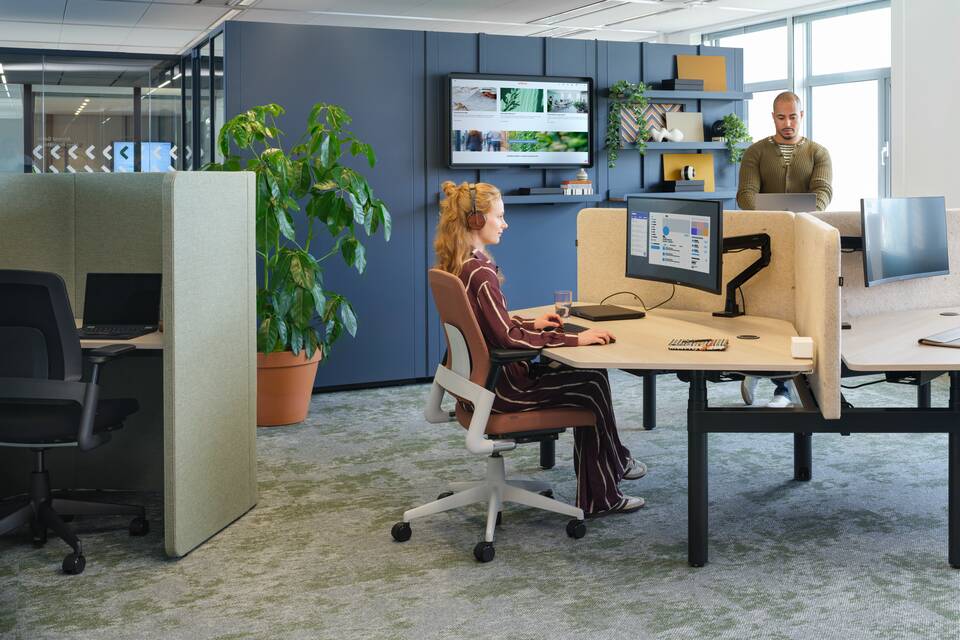 2020 Luvia, Modea, S50, Link   squarexxl