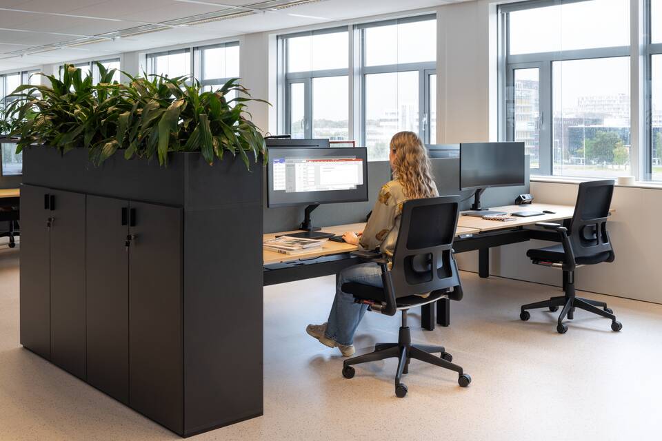 2020 Verta, Balance, Link, S25, Hyll   landscapem