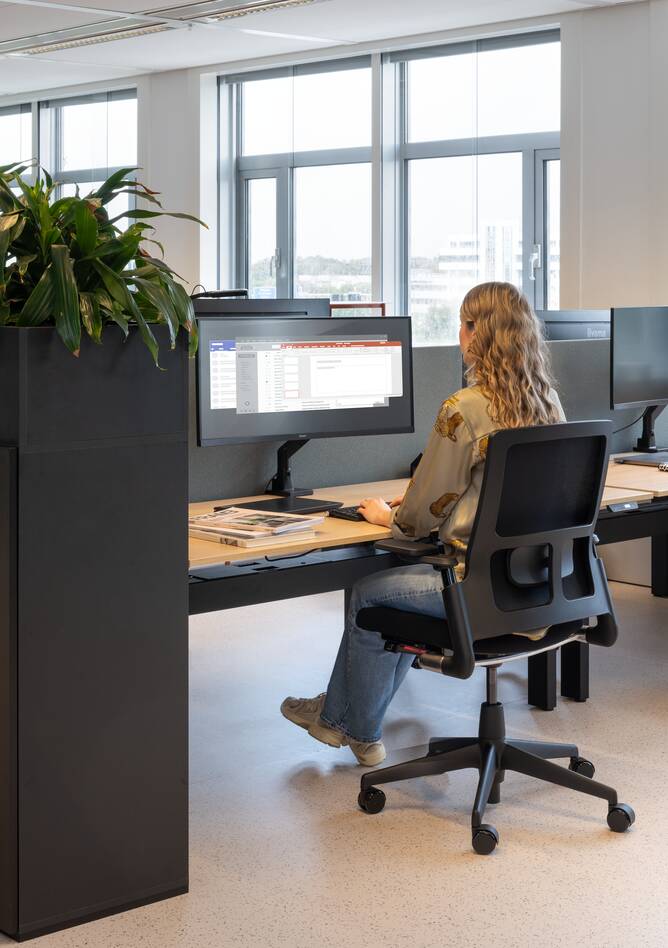 2020 Verta, Balance, Link, S25, Hyll   portraitm