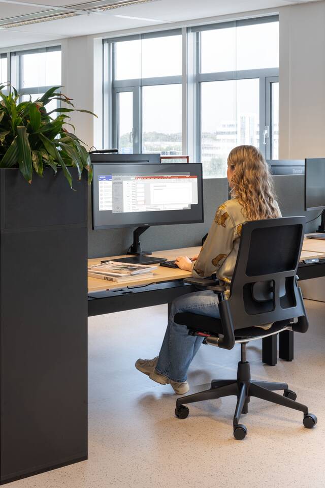 2020 Verta, Balance, Link, S25, Hyll   portraitm