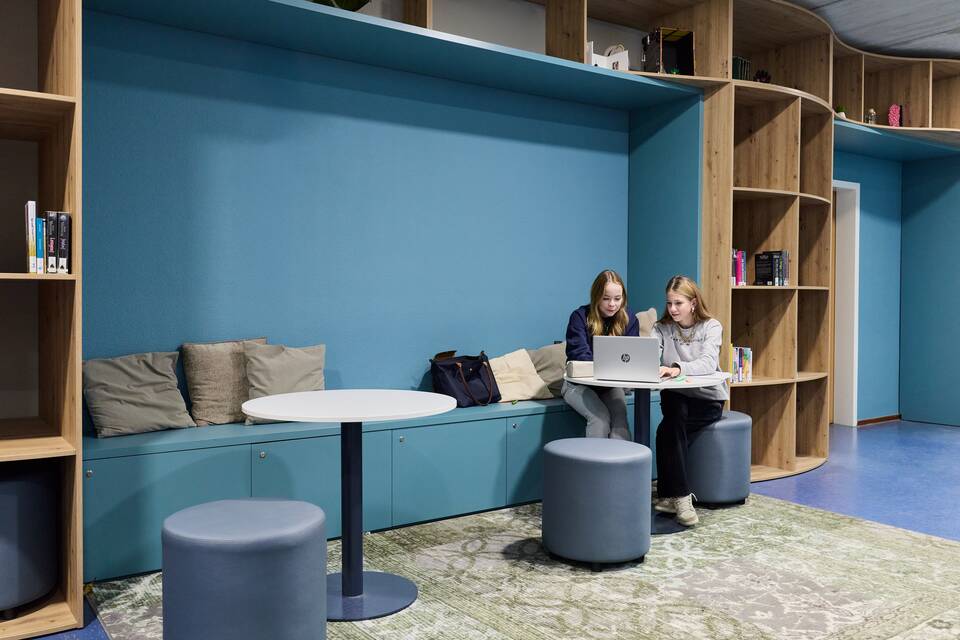 Lek en Linge    De Lingeborgh   landscapexl