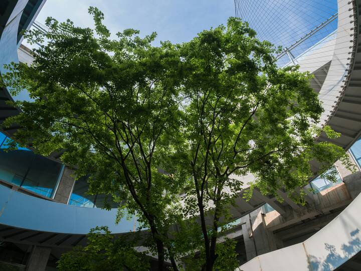 declan sun t7dFTbt4m3U unsplash copy