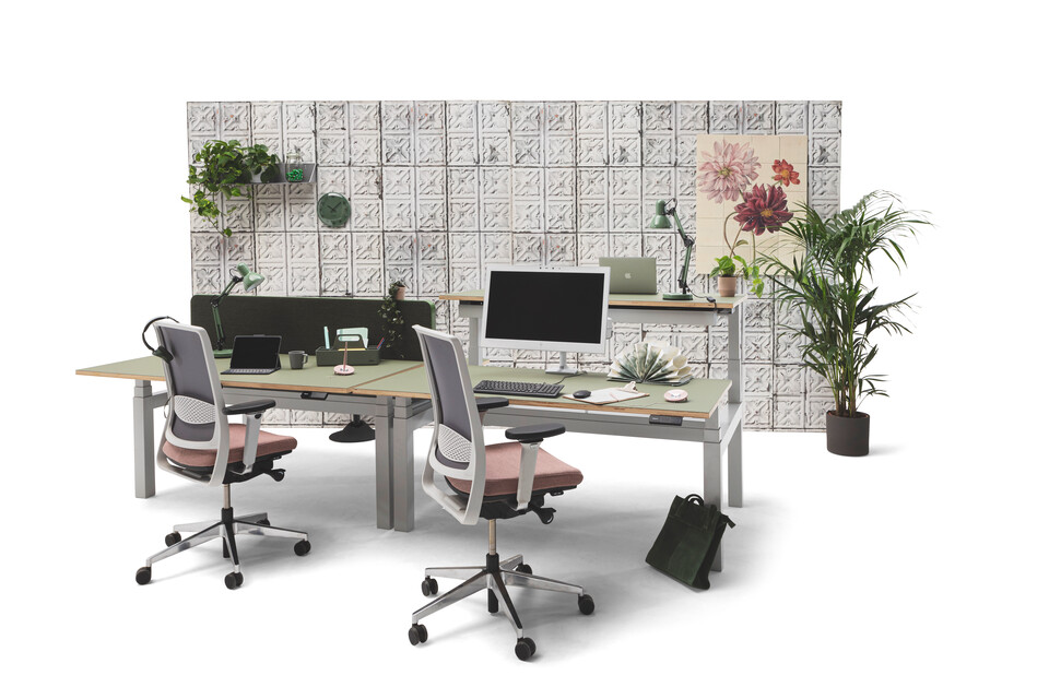 Gispen TMNL dual workstations 3 stage sit stand in light grey with green tops and green screen with Zinn office chairs in front of backpanel front right view