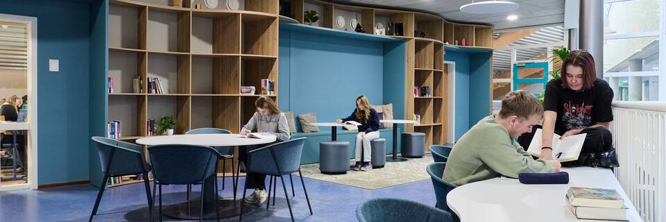 Lek en Linge    De Lingeborgh