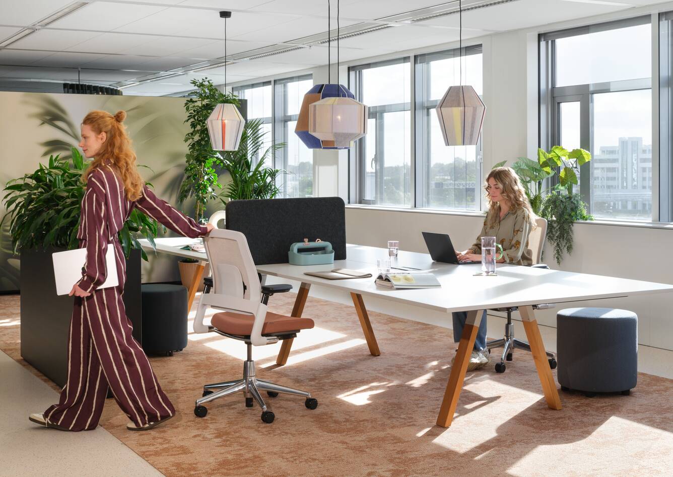 2020 Luvia, Aero, Assist, S50   landscapem