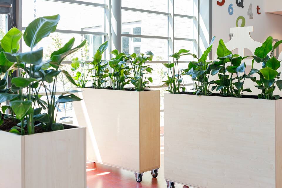 Panta rhei   squarexxl