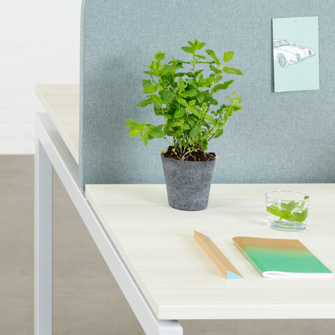 Royal Ahrend Balance 4 leg bench in white with maple tops and light blue screen front left detail view