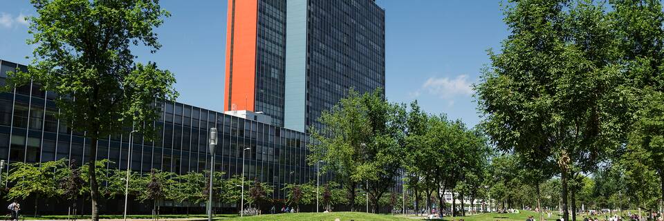 794c99ee4cba3a0e4be7a249e55d38cc