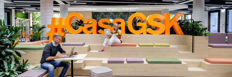 Royal Ahrend office project interior view of GlaxoSmithKline in Verona 9074