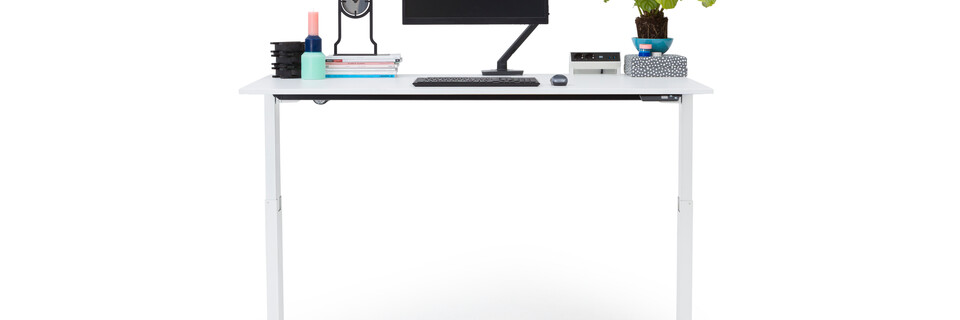 Gispen Home office desk sit stand front view