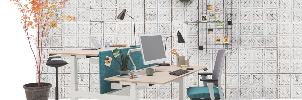 Gispen TMNL dual workstation 2 stage sit stand in white with beech tops and turquoise screen with Zinn office chair in front of Tins04 backpanel front left view