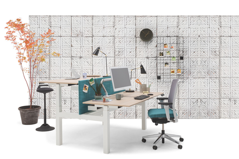 Gispen TMNL dual workstation 2 stage sit stand in white with beech tops and turquoise screen with Zinn office chair in front of Tins04 backpanel front left view