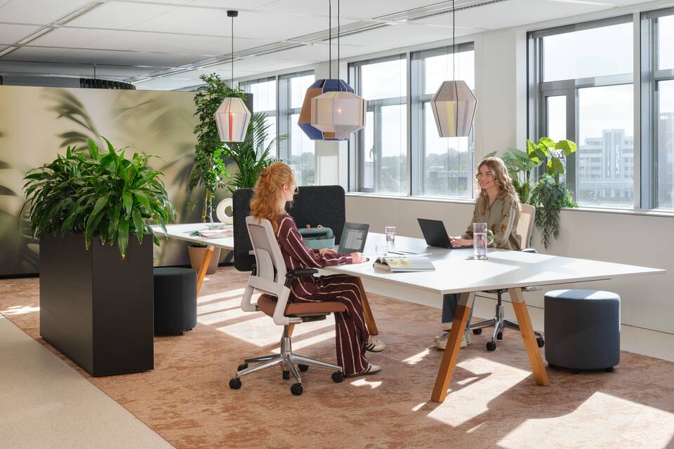 2020 Luvia, Aero, Assist, S50   squarexxl