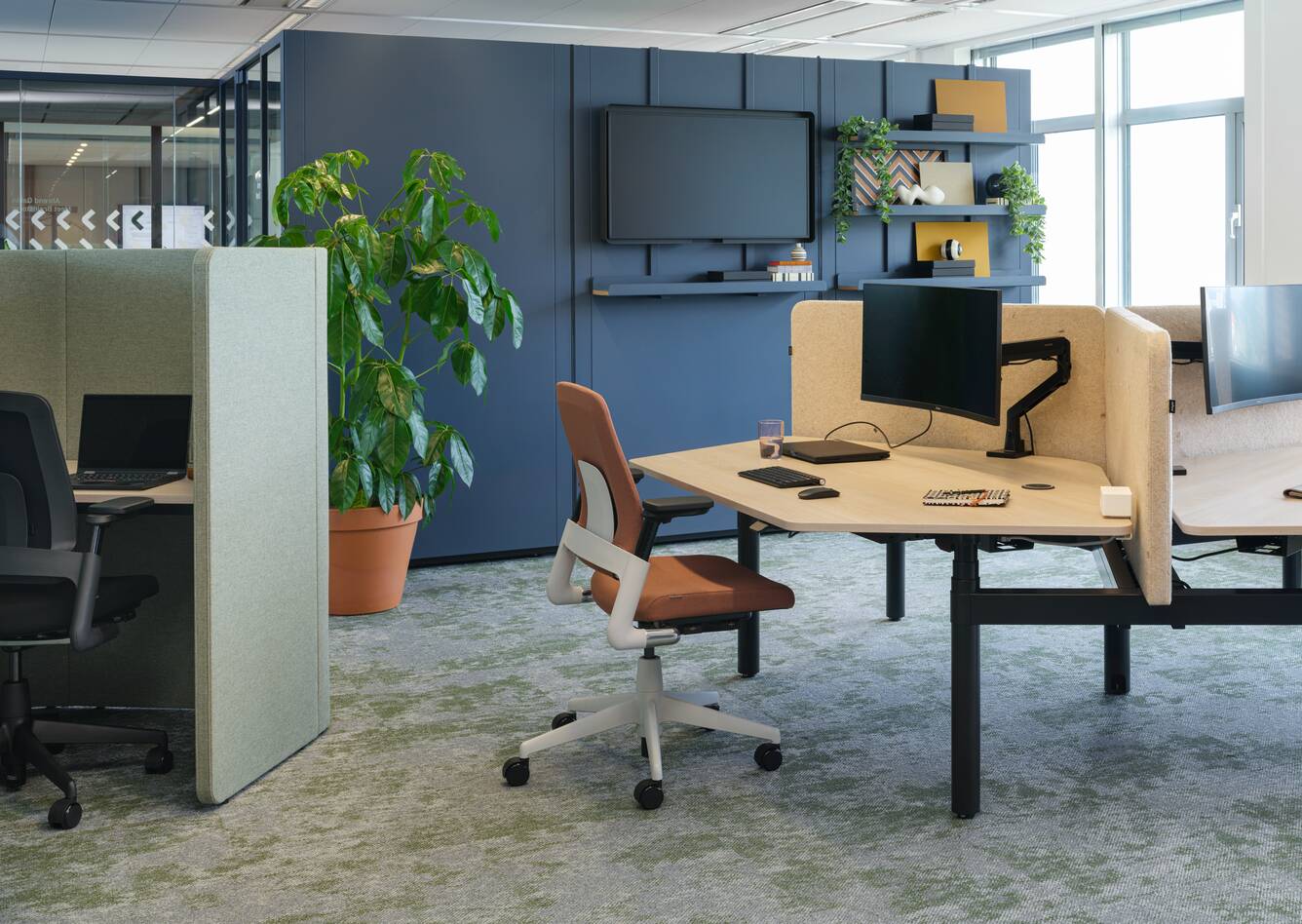 2020 Luvia, Modea, S50, Link   landscapem