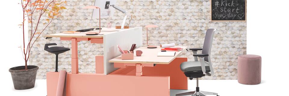 Gispen TMNL dual workstation 3 stage sit stand in pink with pink top and white screen with Zinn office chair front left view