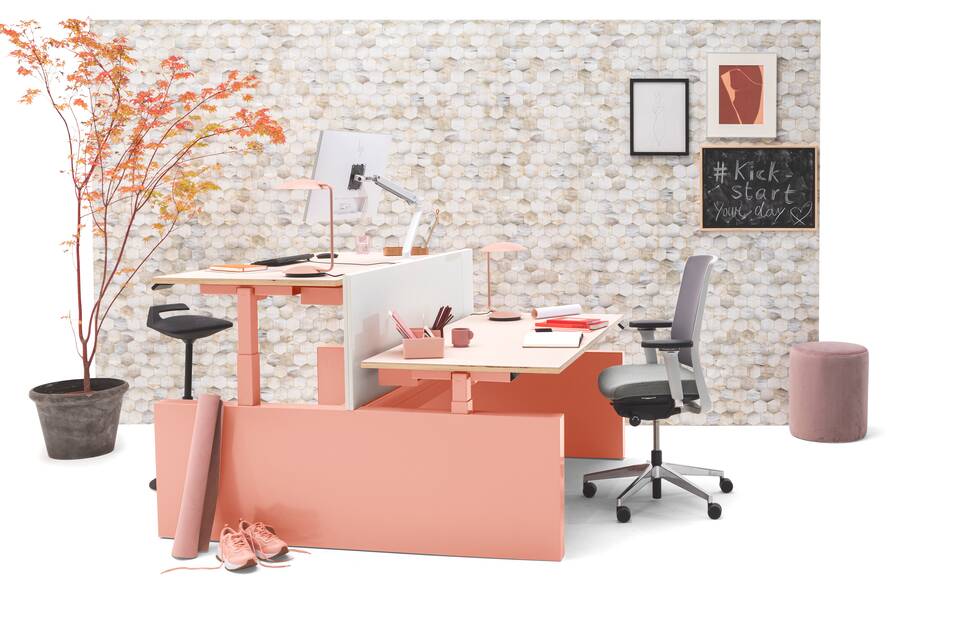 Gispen TMNL dual workstation 3 stage sit stand in pink with pink top and white screen with Zinn office chair front left view