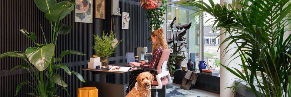 Royal Ahrend interior view of Showroom in Sint Oedenrode SP28