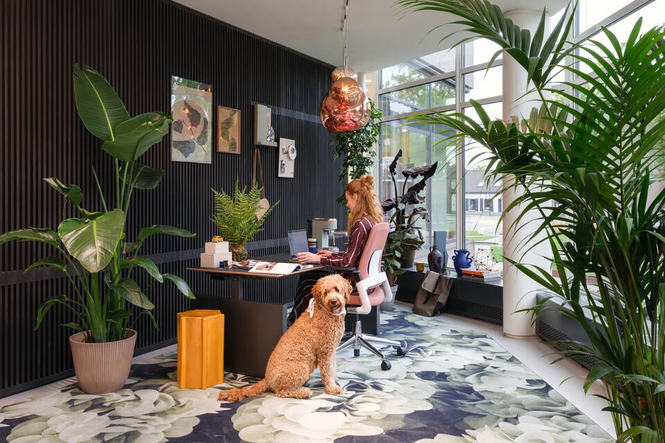 Royal Ahrend interior view of Showroom in Sint Oedenrode SP28