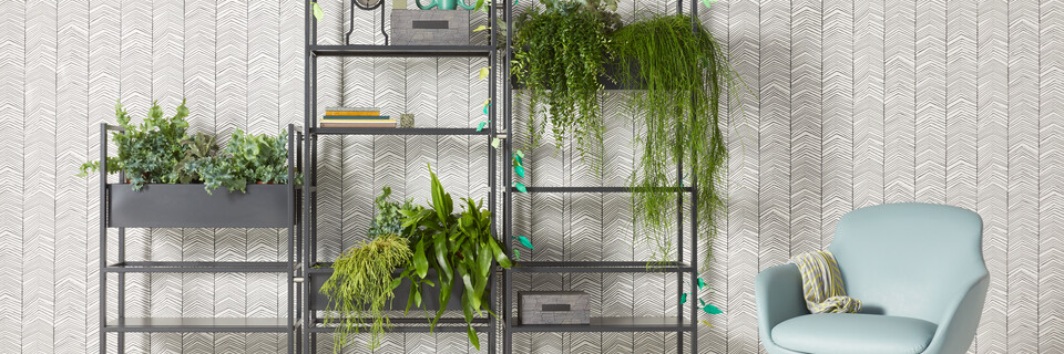 Gispen CIMO shelving unit in black with planters and Queen Low R14 armchair upholstered in light blue in front of wall front view