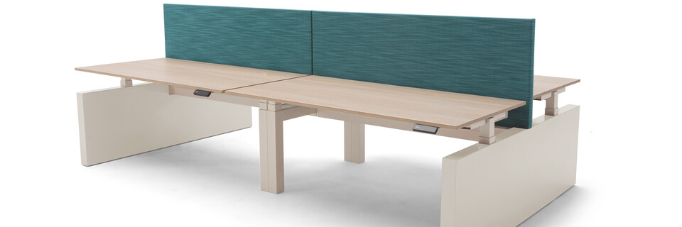 Gispen TMNL dual workstations 3 stage sit stand in white with beech tops and turquoise screens with Zinn office chairs front right view