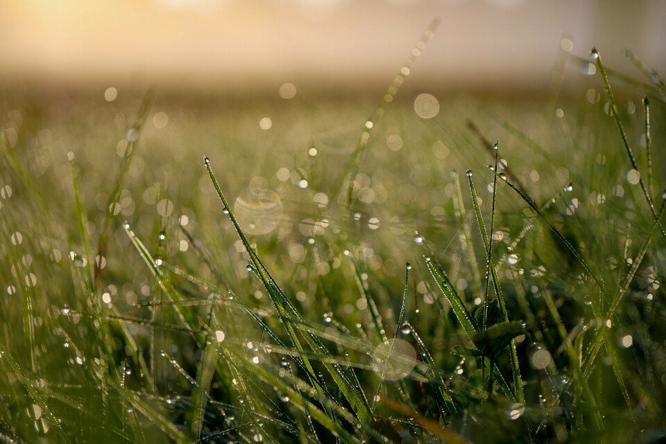 aaron burden q9x4rdGR_Pc unsplash