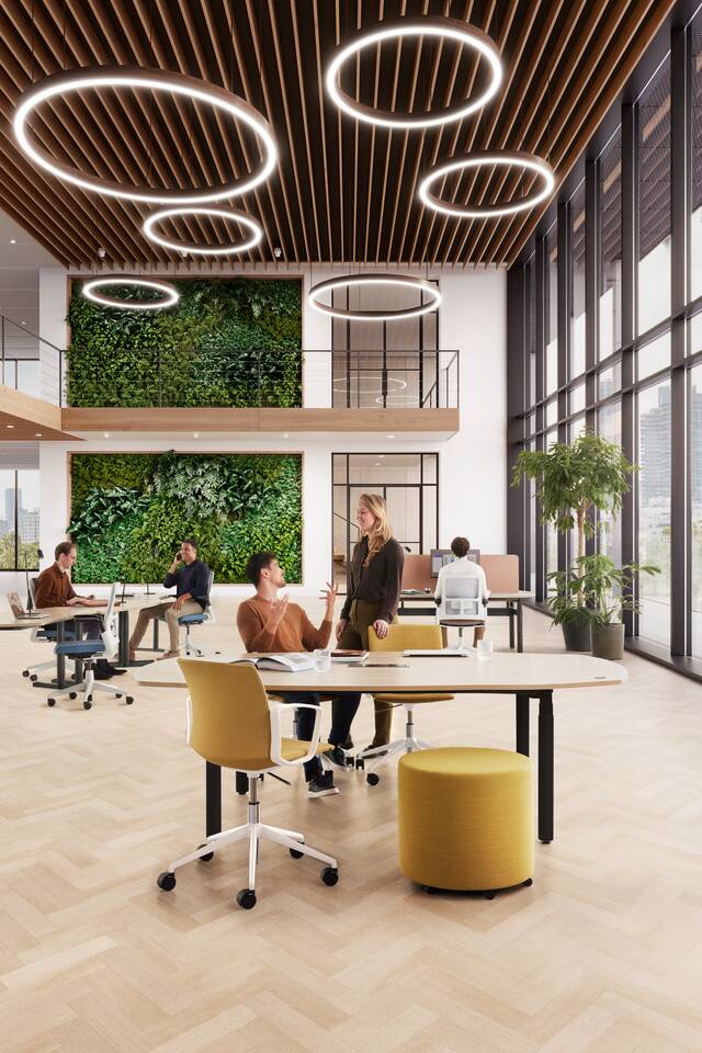 Modea, S25, 2020 Verta, Well, Assist   squarexxl