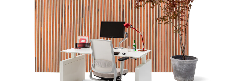 Gispen TMNL single workstation with panel legs in white and Zinn office chair in front of brown wood patern backpanel front right view