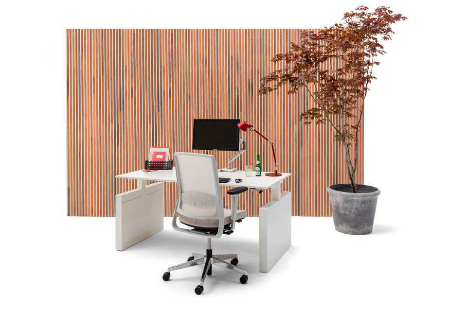 Gispen TMNL single workstation with panel legs in white and Zinn office chair in front of brown wood patern backpanel front right view