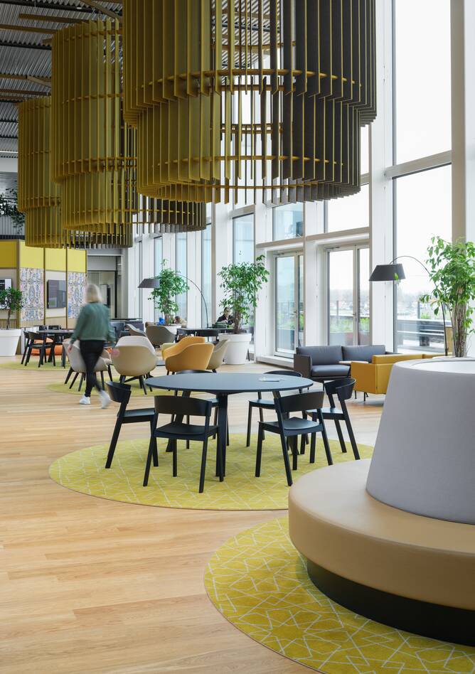 InHolland   portraiti