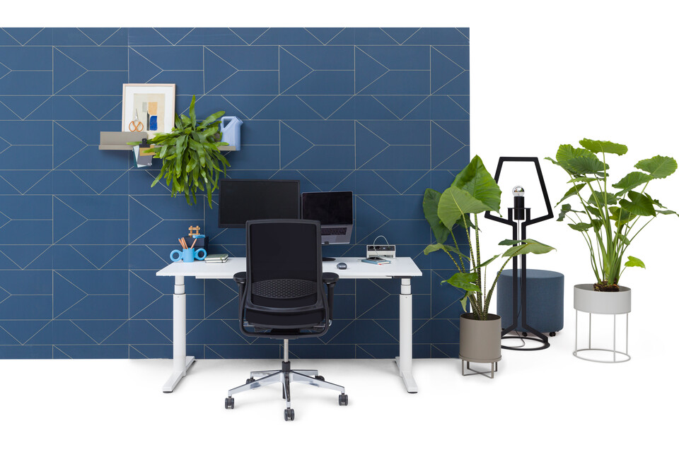 Gispen TM workstation in white with white tabletop and black upholstered black Zinn office chair in front of blue backpanel front view