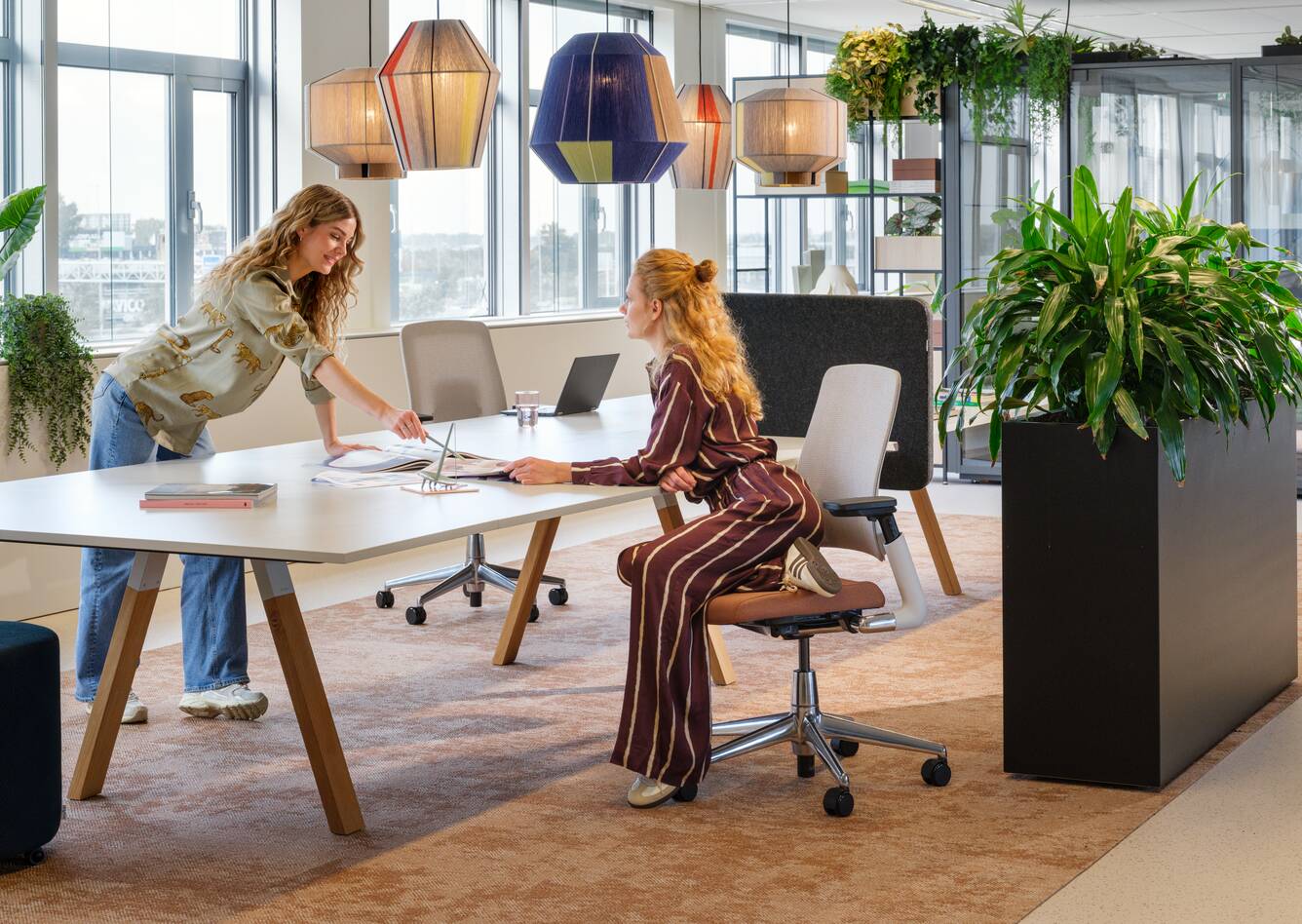 2020 Luvia, Aero, Assist, S50   landscapem