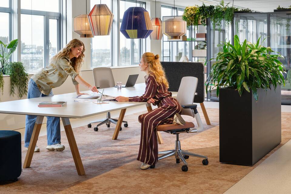 2020 Luvia, Aero, Assist, S50   landscapem