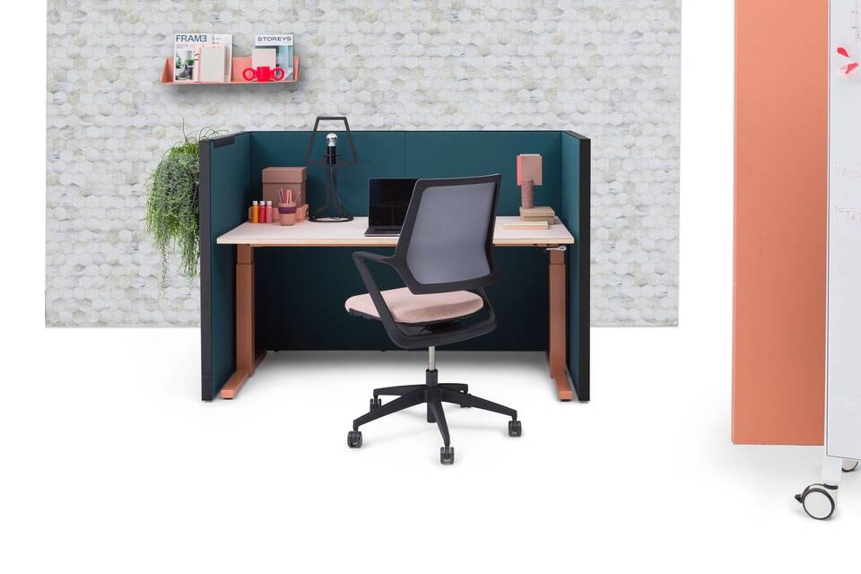 ZINN Multi   squarexxl