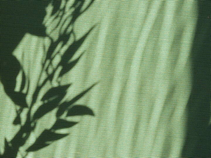 Bright green summer or spring natural background with copy space, aesthetic sun light floral leaves shadows on green textile backdrop