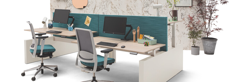 Gispen TM dual workstations 3 stage sit stand in white with beech tops and turquoise screens with Zinn office chairs in front of marble backpanel front right view
