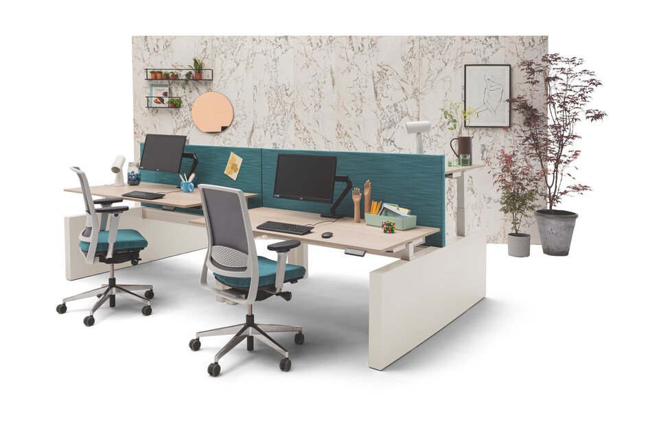 Gispen TM dual workstations 3 stage sit stand in white with beech tops and turquoise screens with Zinn office chairs in front of marble backpanel front right view