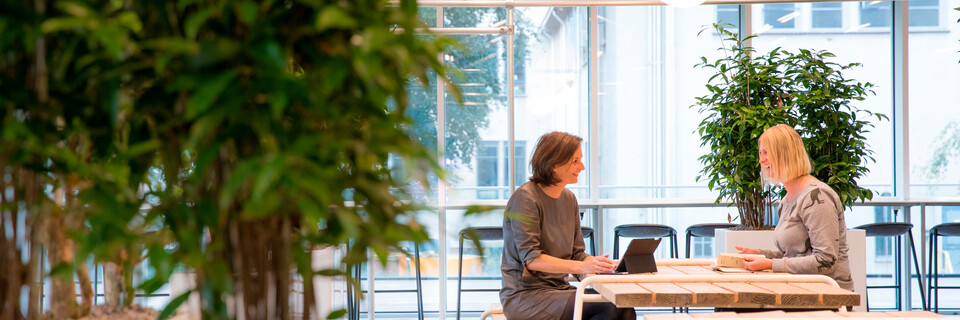 Gispen office project Brightlands Center Court in Geleen DFJT6A0642