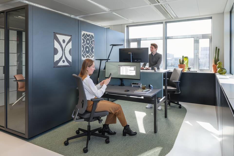 Balance Comfort, Link, S50, Ease, Qabin Meet XL Gather low   squarexxl