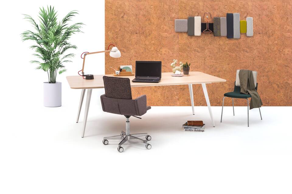 Triennial Manage   squarexxl