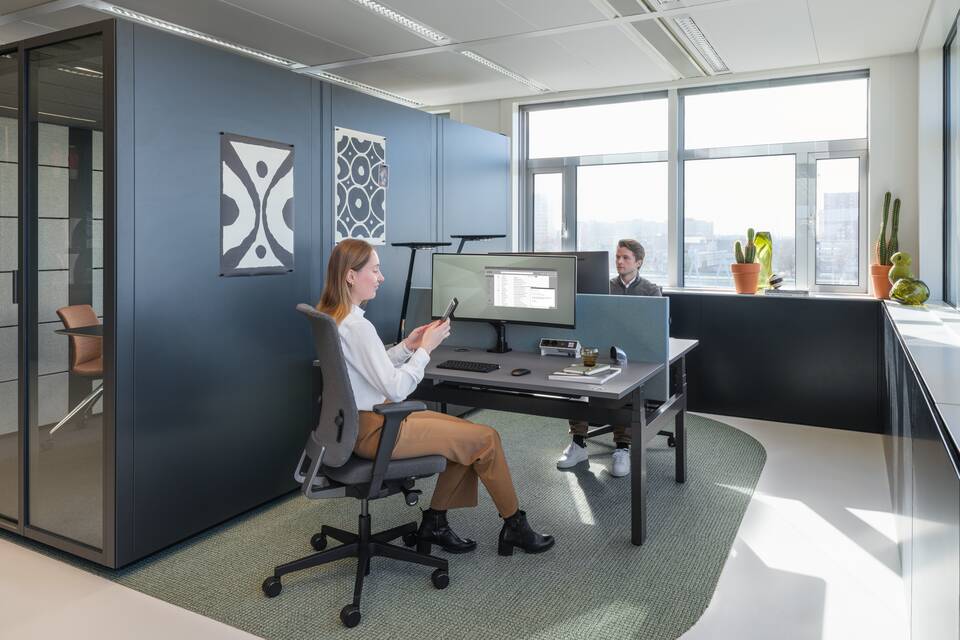 Balance Comfort, Link, S50, Ease, Qabin Meet XL Gather low   squarexxl