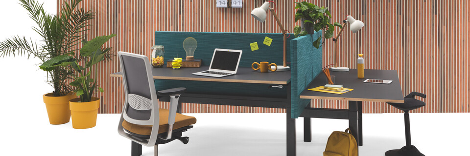 Gispen TMNL trio workstation sit sit in anthracite with black tops and turquoise screens with Zinn office chair with brown wood patern backpanel front right view