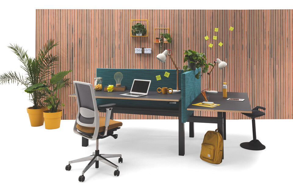 Gispen TMNL trio workstation sit sit in anthracite with black tops and turquoise screens with Zinn office chair with brown wood patern backpanel front right view