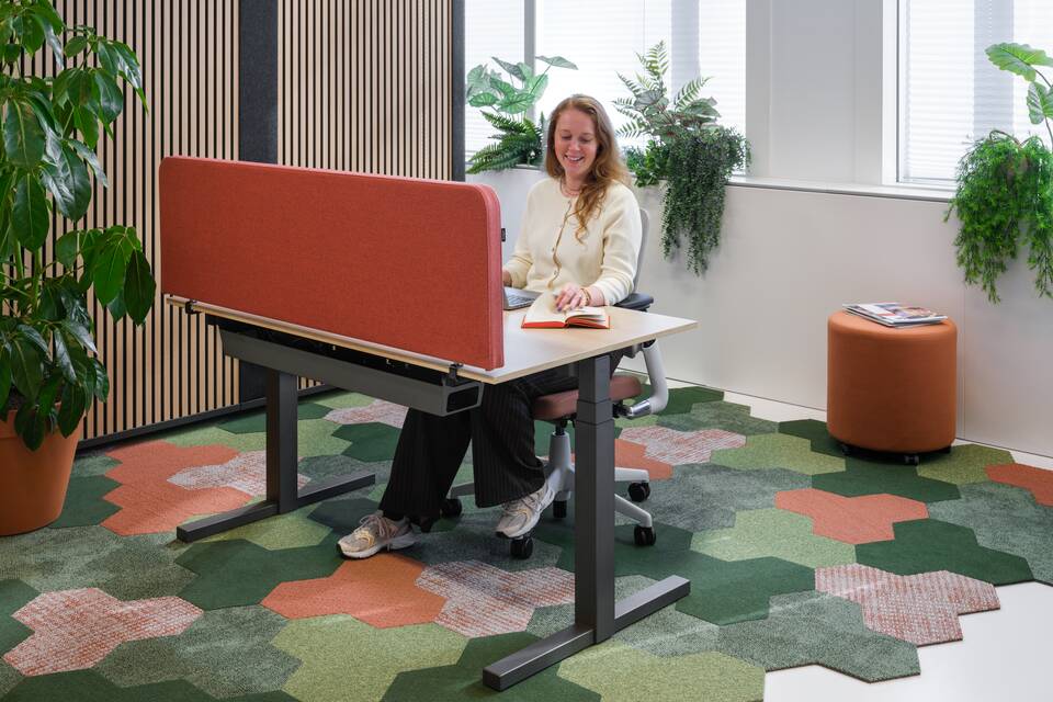 Balance, S50, Assist   squarexxl