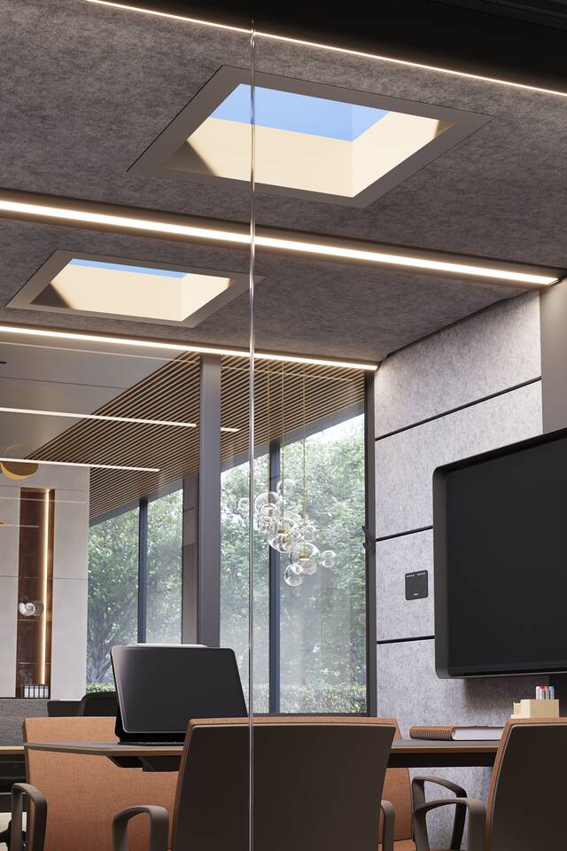 Cerene Meet Connect low, Well   portraitm