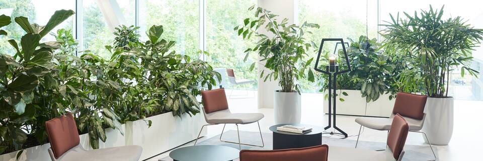 Gispen education project interior view of Fontys in Eindhoven DZK1671