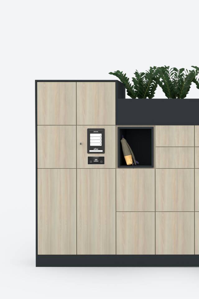 Techo Hyll Smart locker cabinet with oak panels front view
