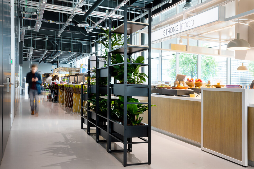 TU Delft   landscapem