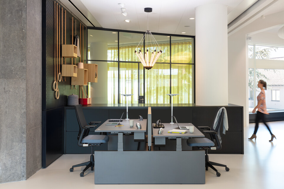 Balance, 2020 Extra Verta   landscapem