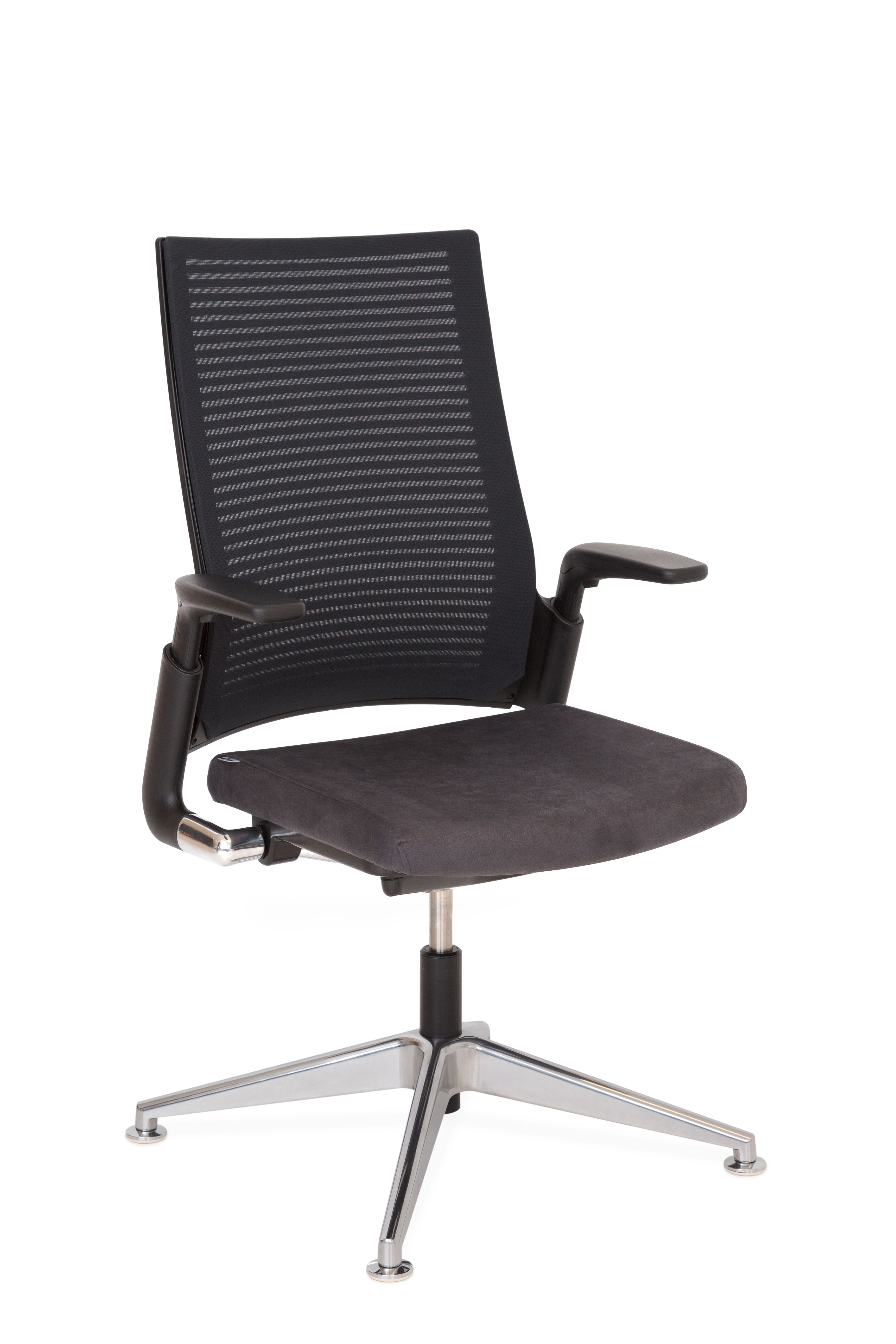 2020 Extra Verta   DownloadLarge