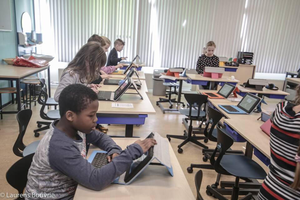 De Vlinderboom   landscapexl